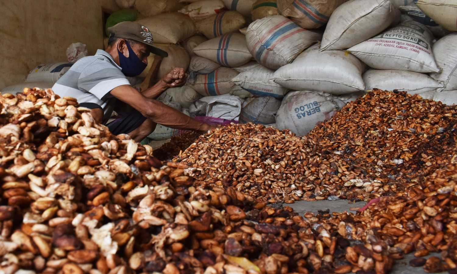 Menkop : Bali Harus Maksimalkan Potensi Kakao