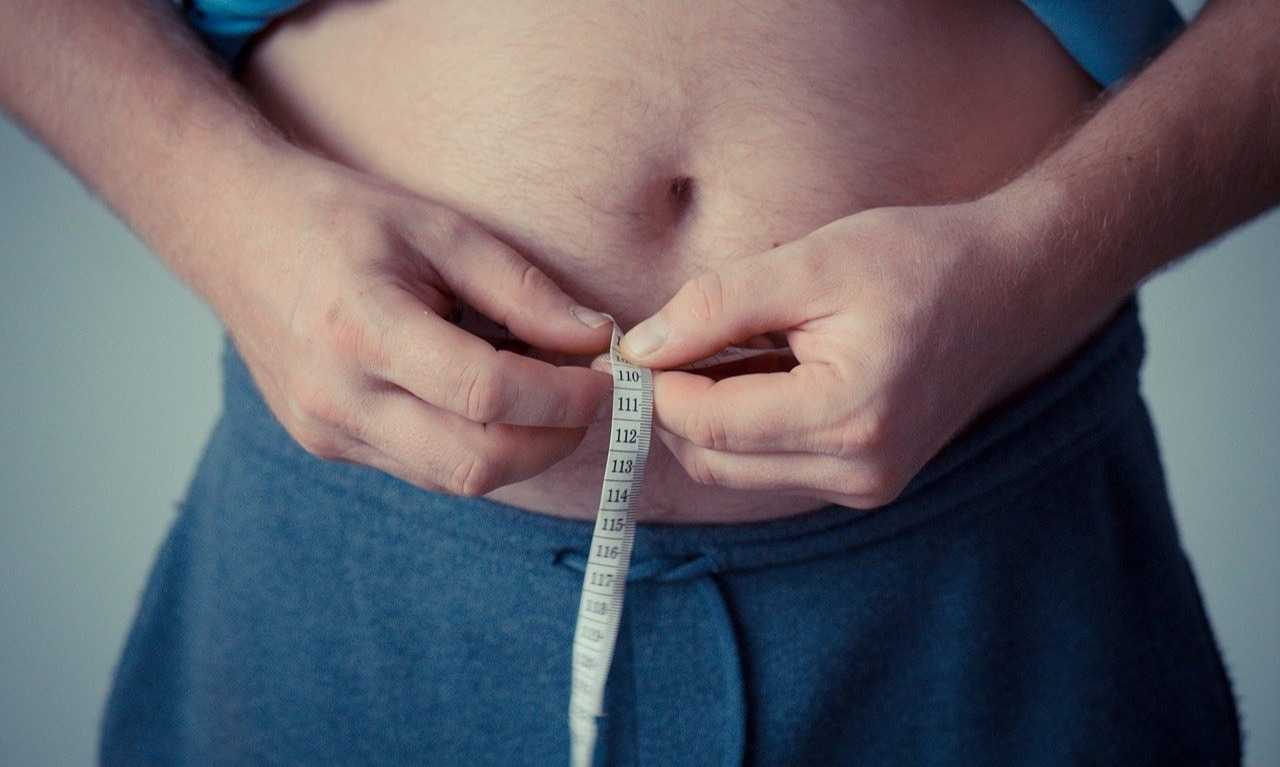 Penelitian: Obesitas Bukan Karena Makan Berlebih