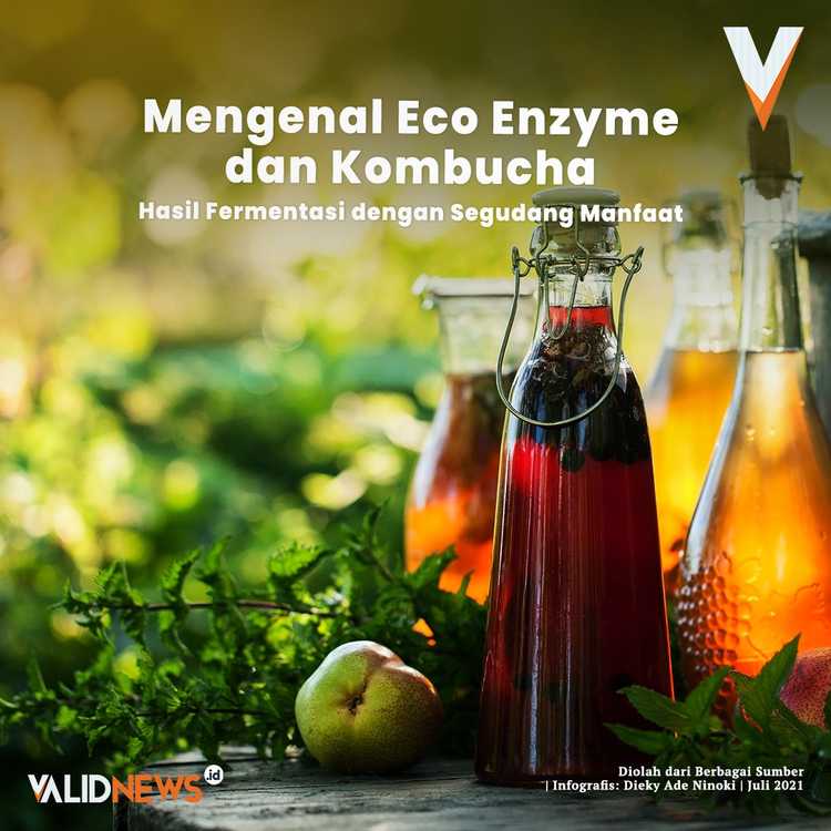 Mengenal Eco Enzyme dan Kombucha