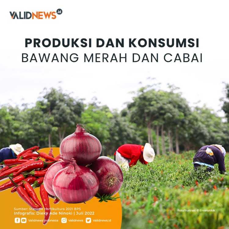Produksi dan Konsumsi Bawang Merah dan Cabai