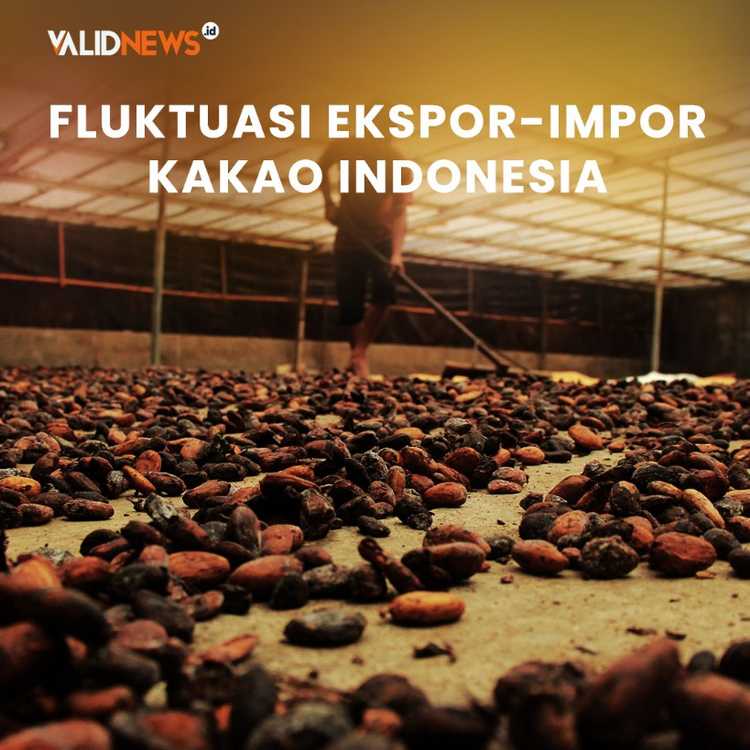 Fluktuasi Ekspor-Impor Kakao Indonesia