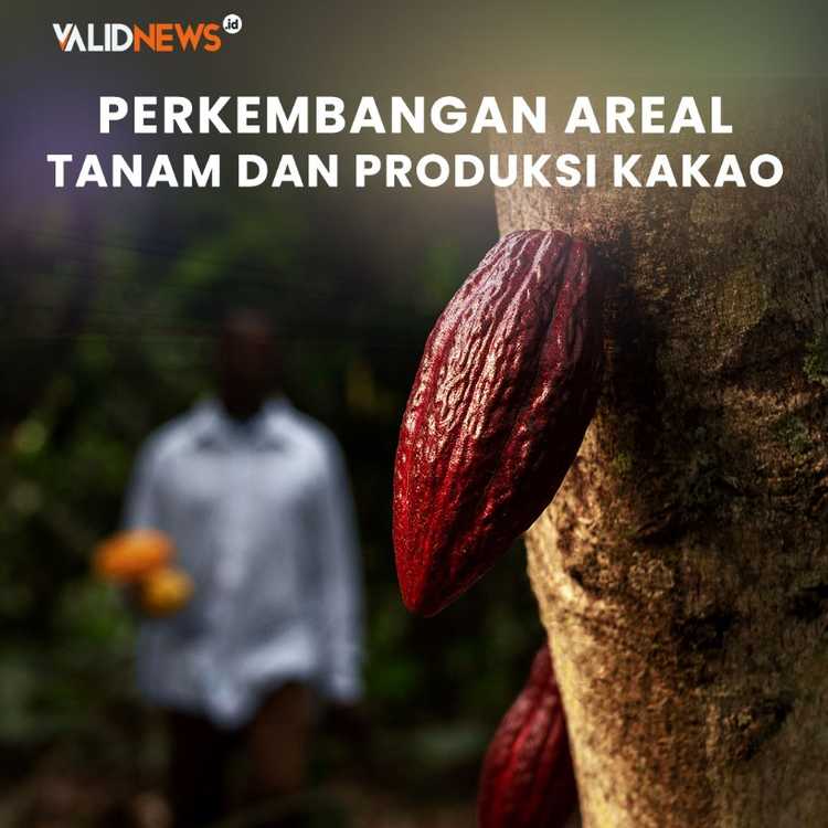 Perkembangan Areal Tanam dan Produksi Kakao