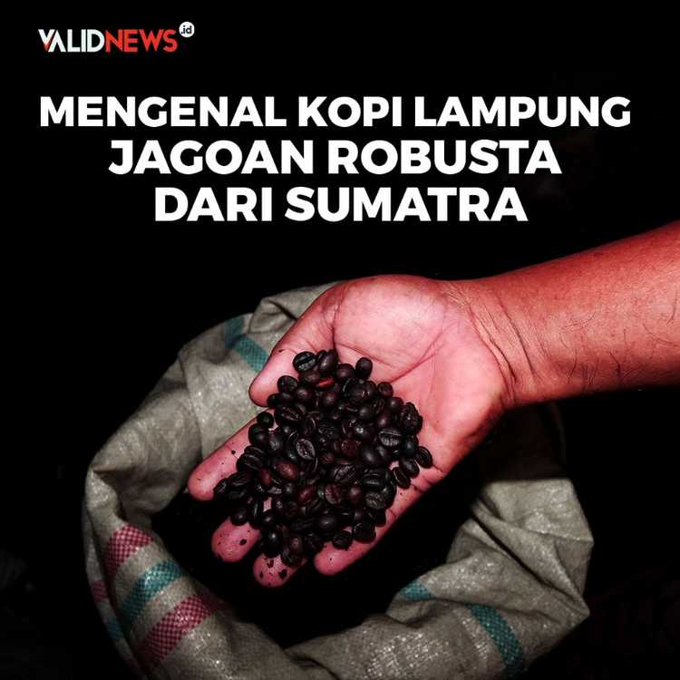 Mengenal Kopi Lampung, Jagoan Robusta dari Sumatra