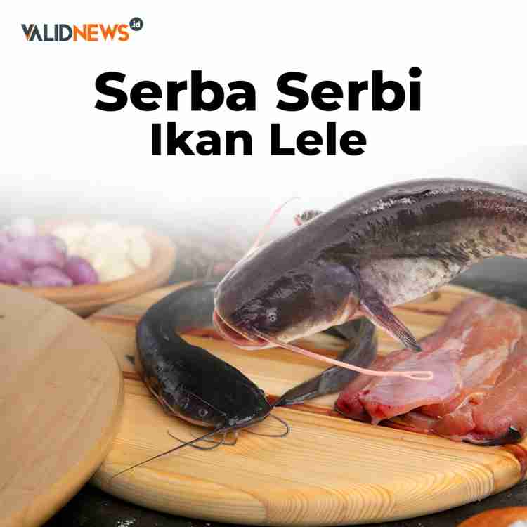 Serba Serbi Ikan Lele