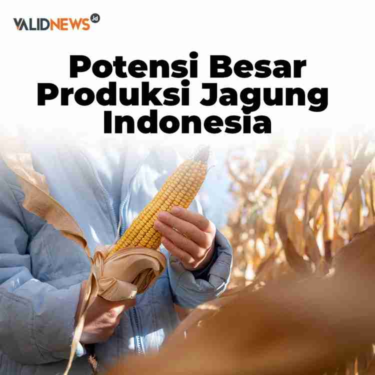 Potensi Besar Produksi Jagung Indonesia