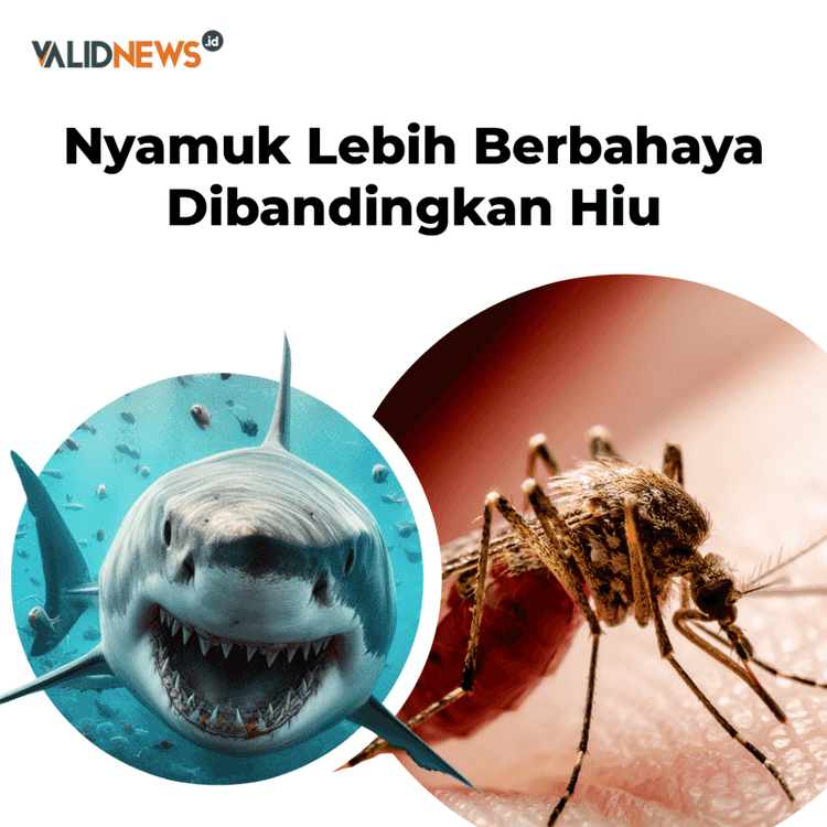 Nyamuk Lebih Berbahaya Dibandingkan Hiu